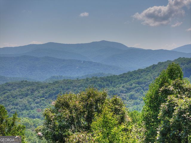 783 N Moreland Drive, Cherry Log, GA 30522