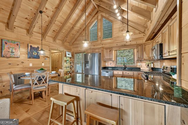 783 N Moreland Drive, Cherry Log, GA 30522