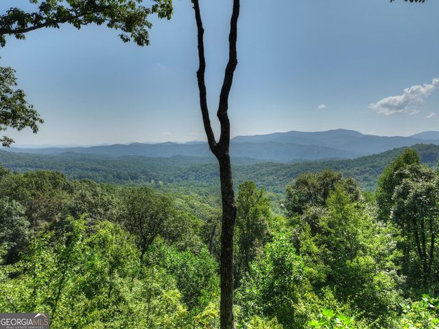 783 N Moreland Drive, Cherry Log, GA 30522