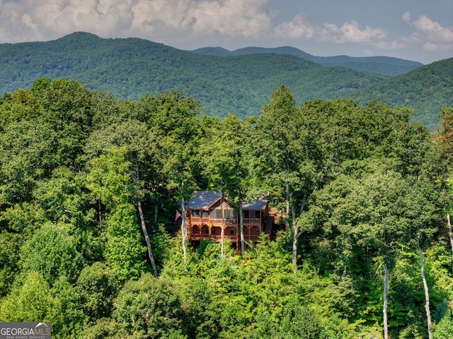 783 N Moreland Drive, Cherry Log, GA 30522