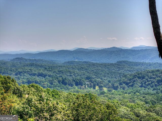 783 N Moreland Drive, Cherry Log, GA 30522