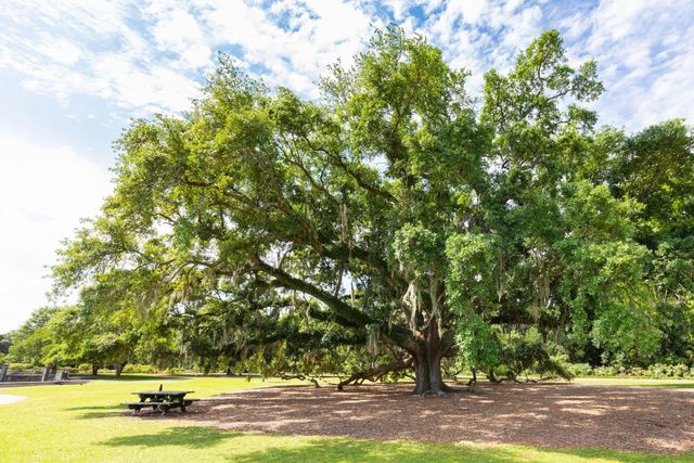 194 Fishburne Street, Charleston, SC 29403