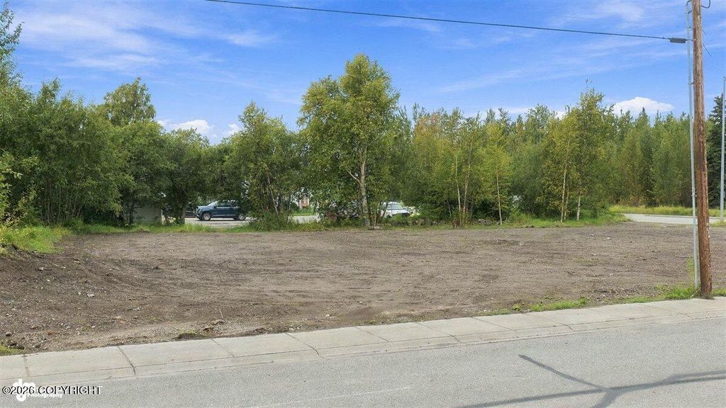 340 E Arctic Avenue, Palmer, AK 99645