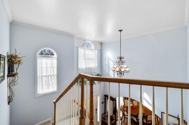145 Eagles Nest Cove, Austin, AR 72007