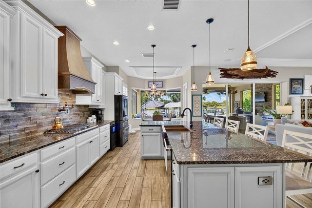 303 W CHAPMAN ROAD, Lutz, FL 33548