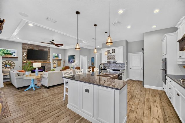 303 W CHAPMAN ROAD, Lutz, FL 33548