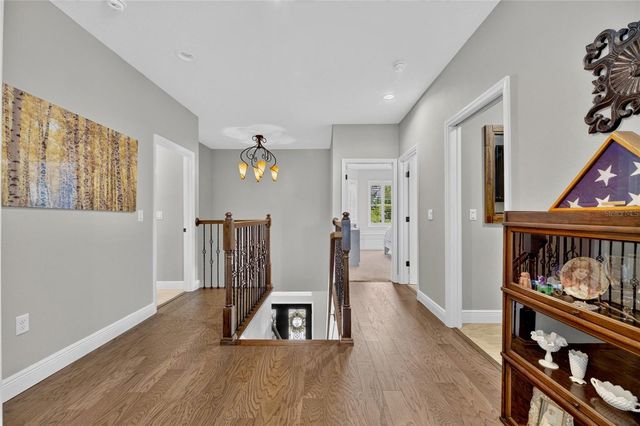 303 W CHAPMAN ROAD, Lutz, FL 33548