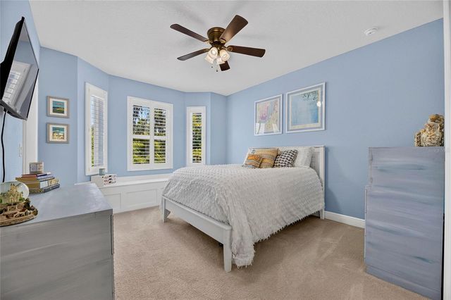 303 W CHAPMAN ROAD, Lutz, FL 33548