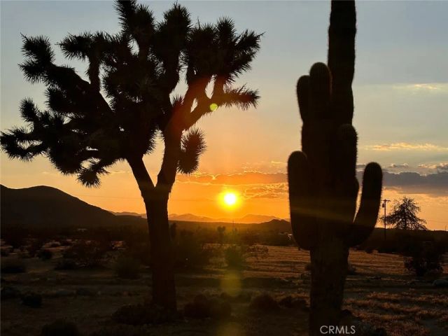 60611 Birdie Ln, Landers, CA 92285