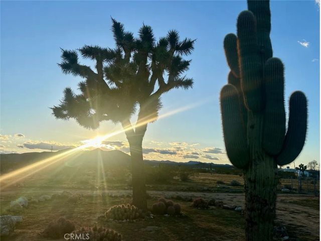 60611 Birdie Ln, Landers, CA 92285