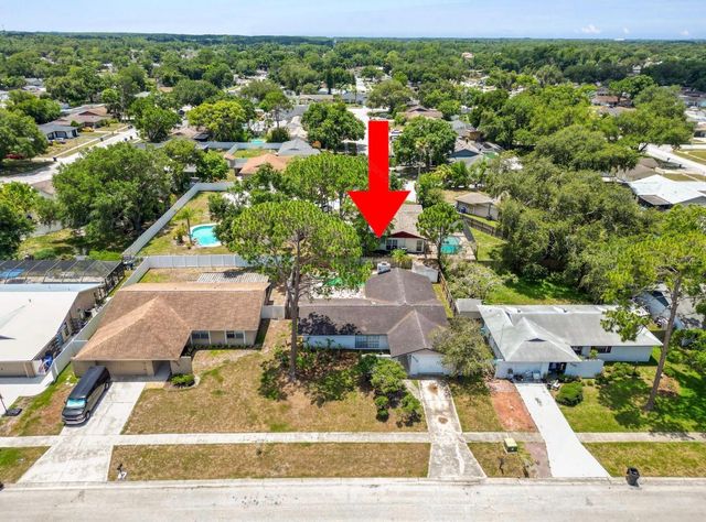 5028 HEADLAND HILLS AVENUE, Tampa, FL 33625