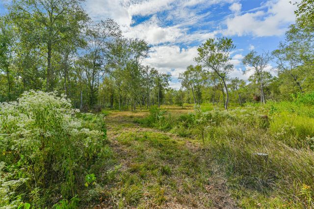 0 Live Oak St, Damon, TX 77430