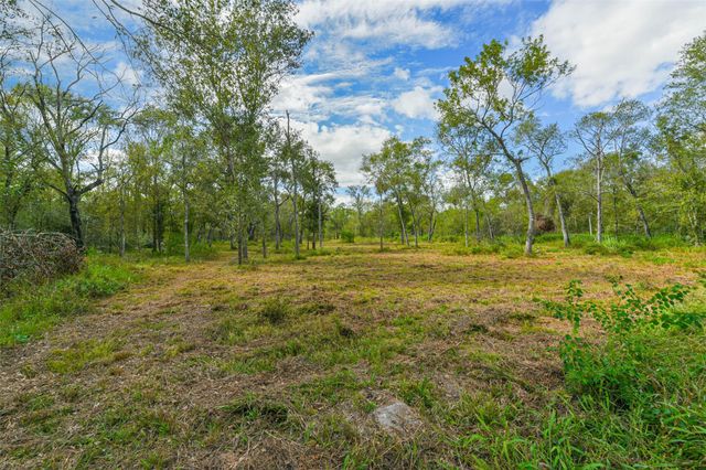 0 Live Oak St, Damon, TX 77430