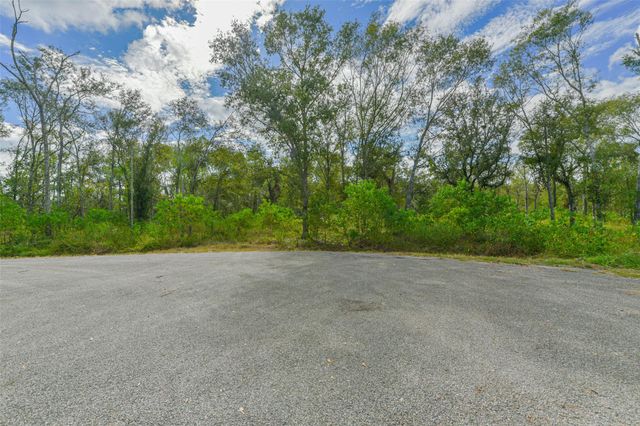 0 Live Oak St, Damon, TX 77430