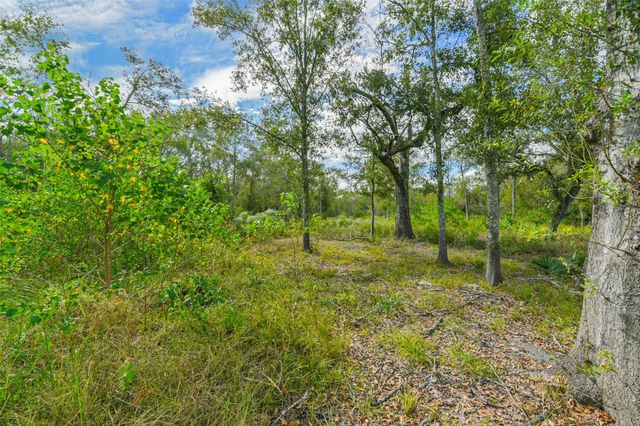 0 Live Oak St, Damon, TX 77430