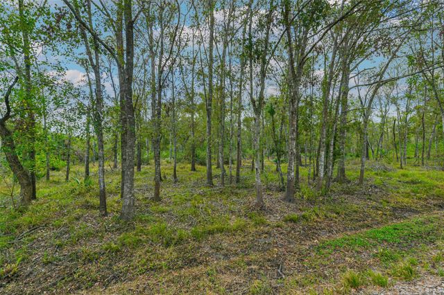 0 Live Oak St, Damon, TX 77430