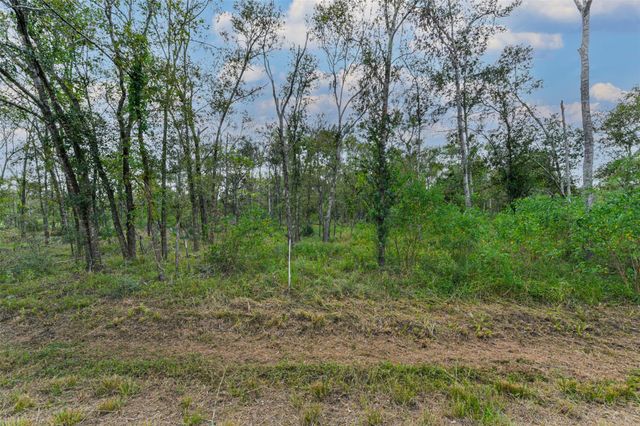 0 Live Oak St, Damon, TX 77430