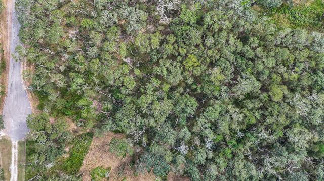 0 Live Oak St, Damon, TX 77430