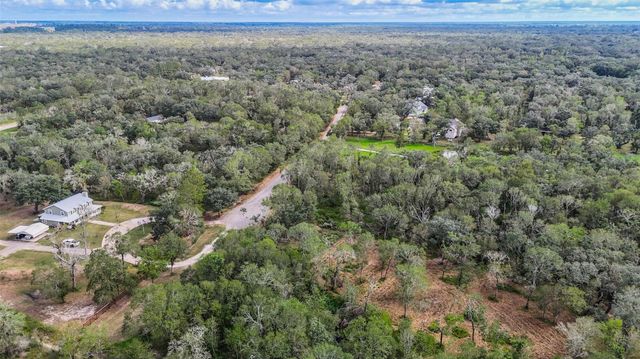 0 Live Oak St, Damon, TX 77430