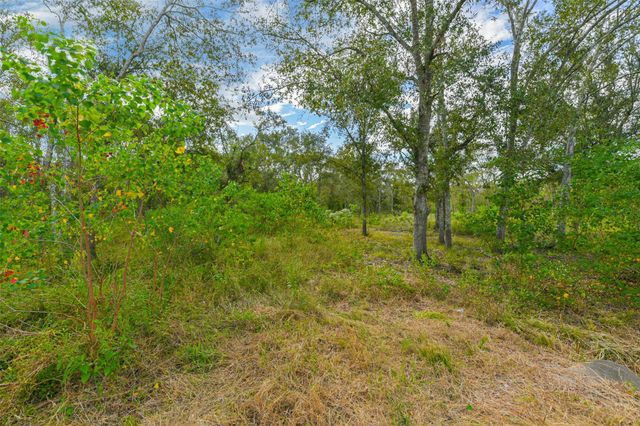 0 Live Oak St, Damon, TX 77430