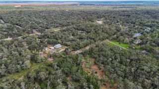 0 Live Oak St, Damon, TX 77430