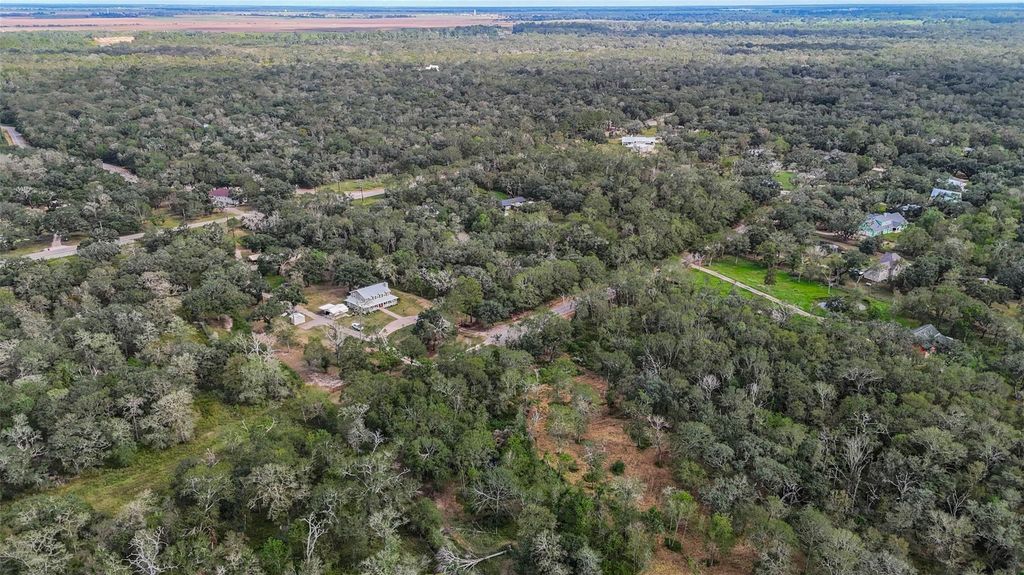 0 Live Oak St, Damon, TX 77430
