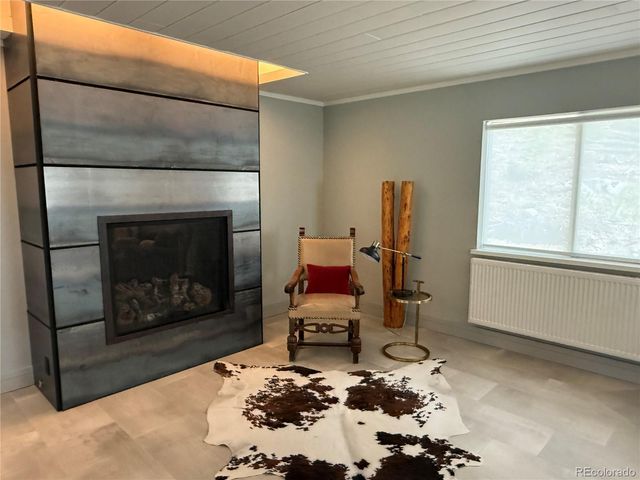 592 Brook Drive, Idaho Springs, CO 80452