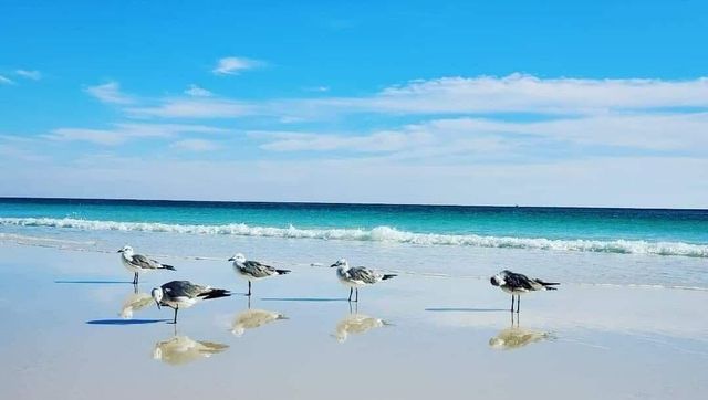 2440 Scenic Gulf Drive UNIT 204, Miramar Beach, FL 32550