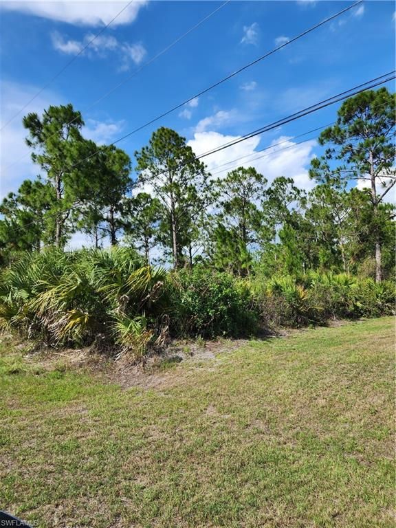 1117 CLAYTON AVE, LEHIGH ACRES, FL 33972 — photo 2