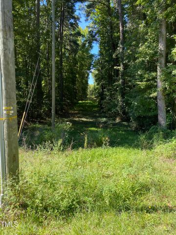0 Collins Road, Lot 3, Manson, NC 27553