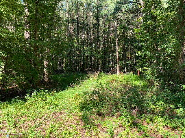 0 Collins Road, Lot 3, Manson, NC 27553