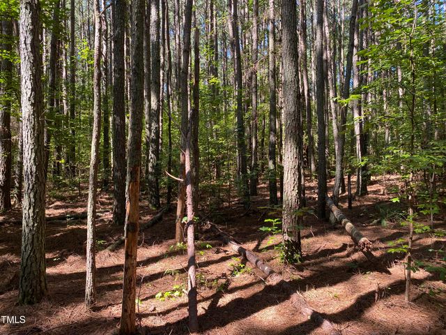 0 Collins Road, Lot 3, Manson, NC 27553