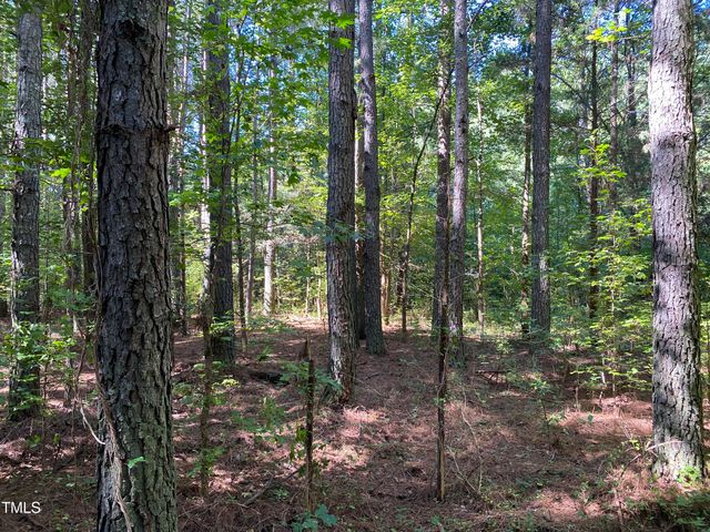0 Collins Road, Lot 3, Manson, NC 27553