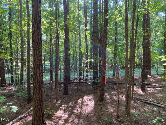 0 Collins Road, Lot 3, Manson, NC 27553