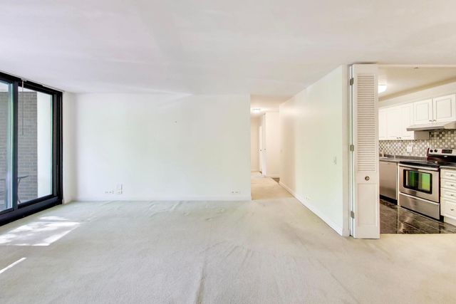 1555 N Sandburg Terrace 206K, Chicago, IL 60610