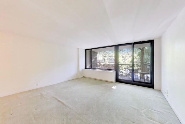 1555 N Sandburg Terrace 206K, Chicago, IL 60610