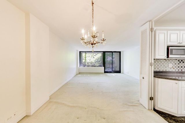 1555 N Sandburg Terrace 206K, Chicago, IL 60610