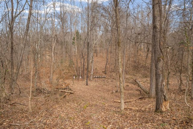 4313 Hargrove Marable Rd, Palmyra, TN 37142