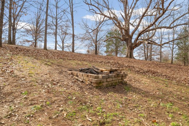 4313 Hargrove Marable Rd, Palmyra, TN 37142