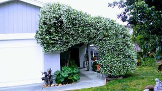 4777 Crooked Creek Ct., San Diego, CA 92113