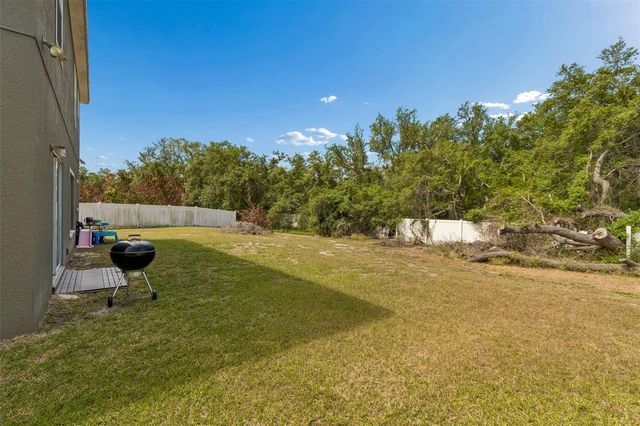 10620 CARLOWAY HILLS DRIVE, Wimauma, FL 33598