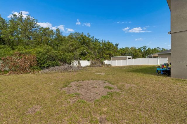 10620 CARLOWAY HILLS DRIVE, Wimauma, FL 33598