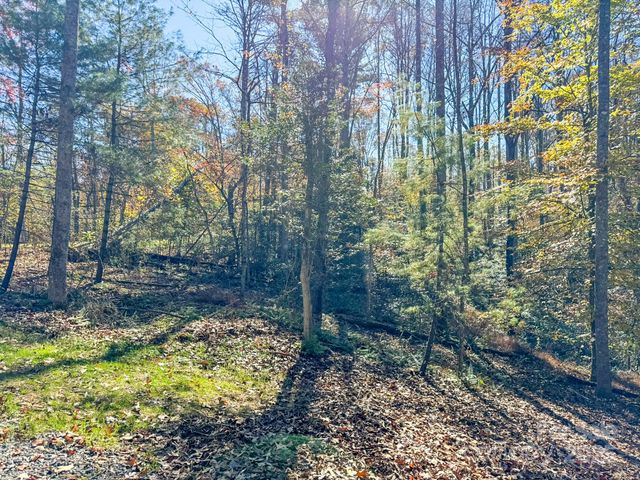 000 Reserve Way 11, Hendersonville, NC 28739