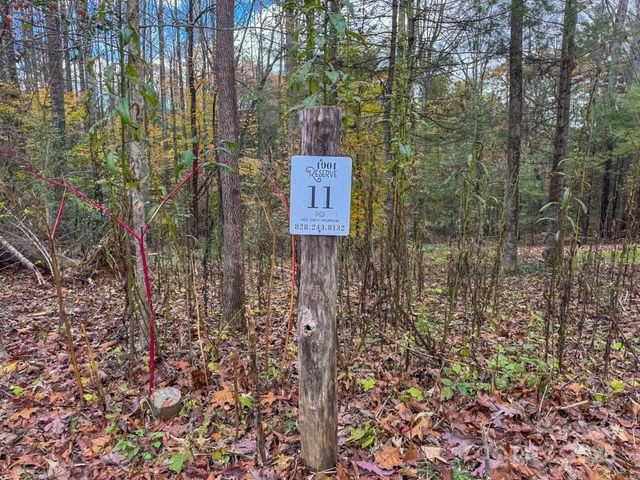 000 Reserve Way 11, Hendersonville, NC 28739