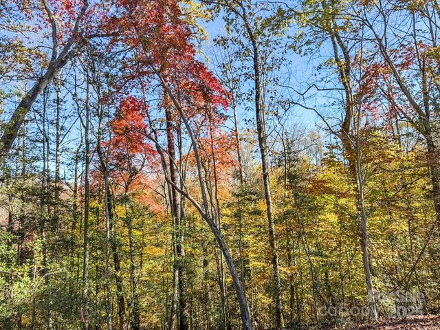 000 Reserve Way 11, Hendersonville, NC 28739