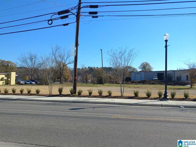 6178 HIGHWAY 11, Springville, AL 35146