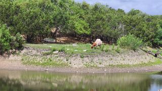 110 Longhorn LN, Dripping Springs, TX 78620