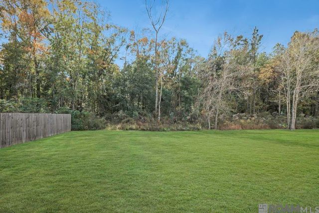 14200 Stones Throw Ct, Denham Springs, LA 70726