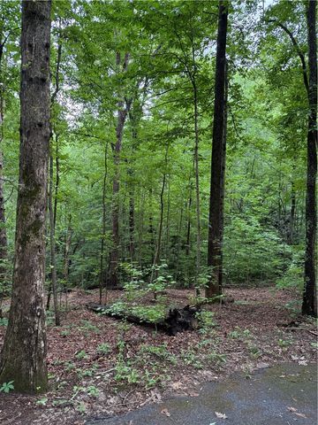 125 Cottage Side Trail, Travelers Rest, SC 29690