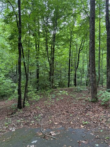 125 Cottage Side Trail, Travelers Rest, SC 29690